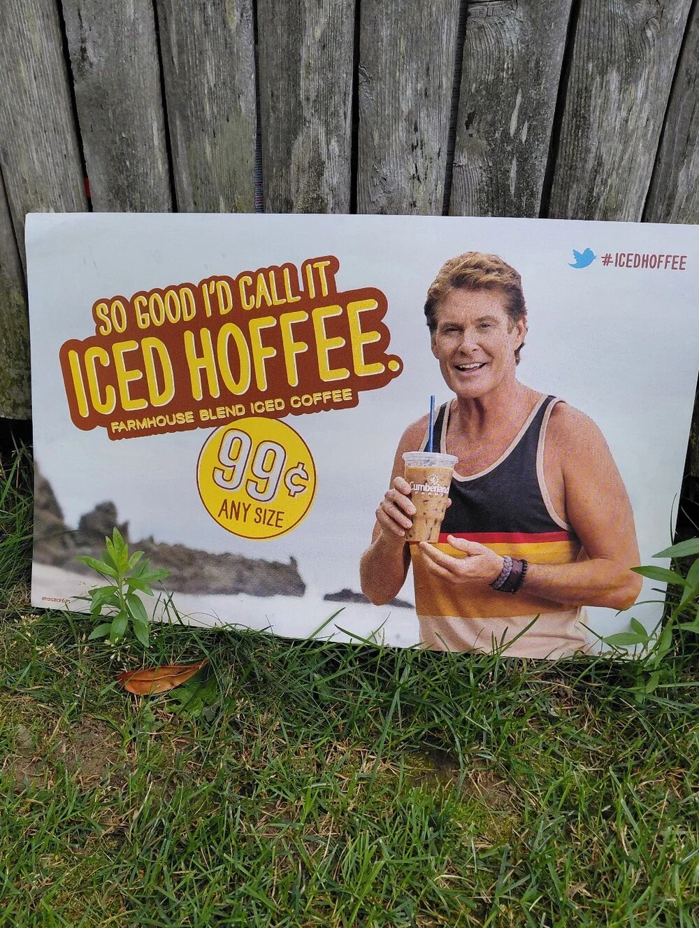2012 David Hasslehoff Iced Hoffee acrylic coffee advertisment sign 14.5
